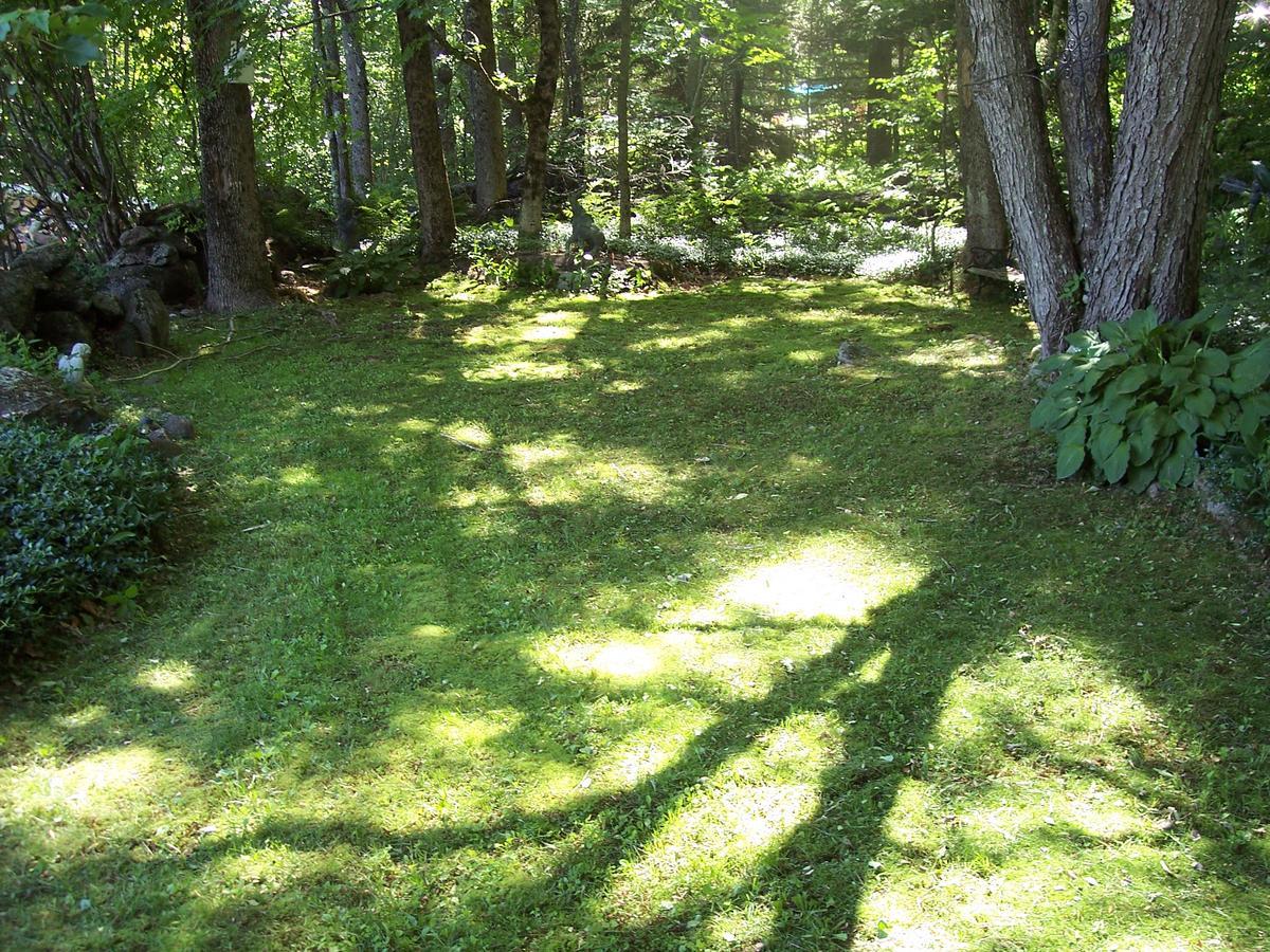 Bed and Breakfast Hummingbird Hill Stoddard Экстерьер фото
