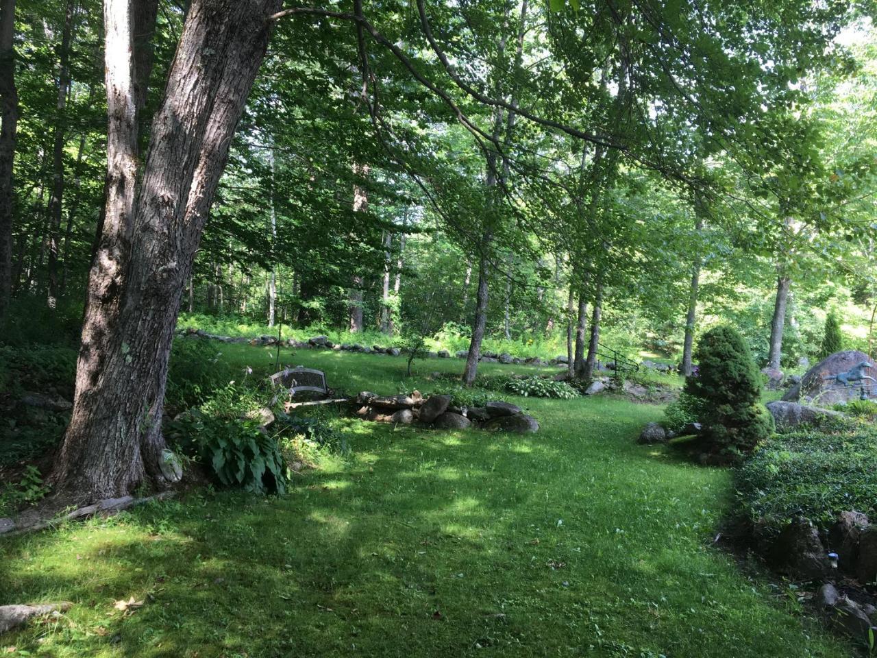 Bed and Breakfast Hummingbird Hill Stoddard Экстерьер фото