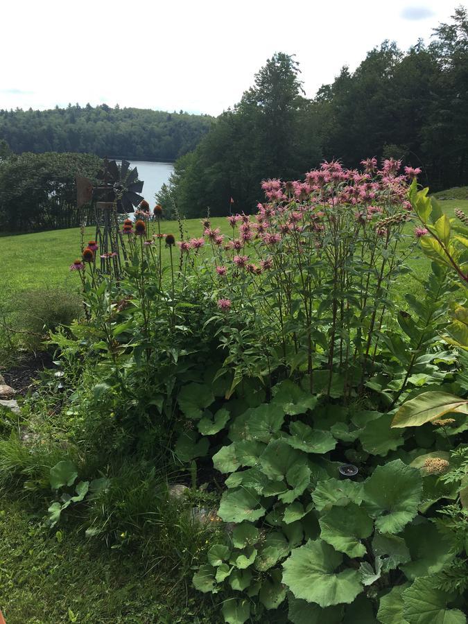Bed and Breakfast Hummingbird Hill Stoddard Экстерьер фото