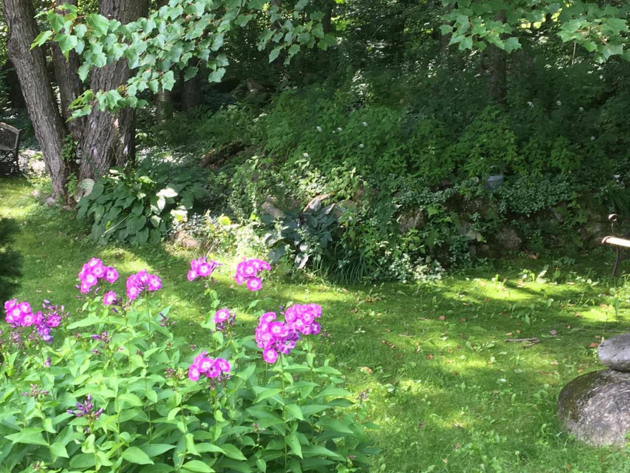 Bed and Breakfast Hummingbird Hill Stoddard Экстерьер фото